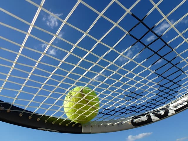 tennis strings and ball