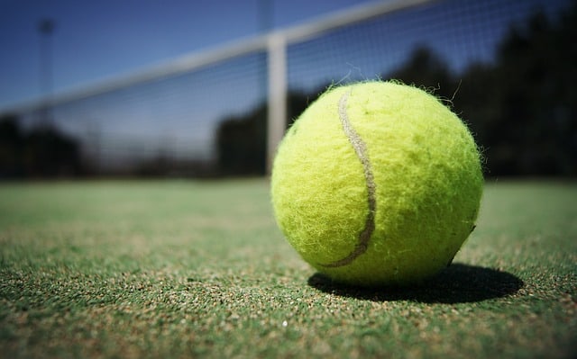 worn tennis ball