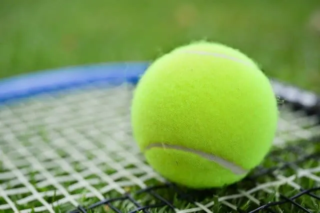 close up of tennis ball and racket